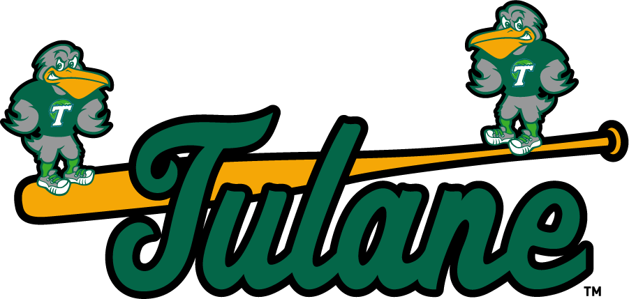 Tulane Green Wave 2017-Pres Misc Logo diy iron on heat transfer...